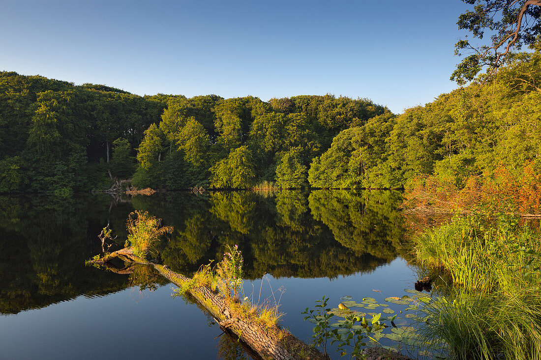 Herthasee, Nationalpark Jasmund, Rügen, Ostsee, Mecklenburg-Vorpommern, Deutschland