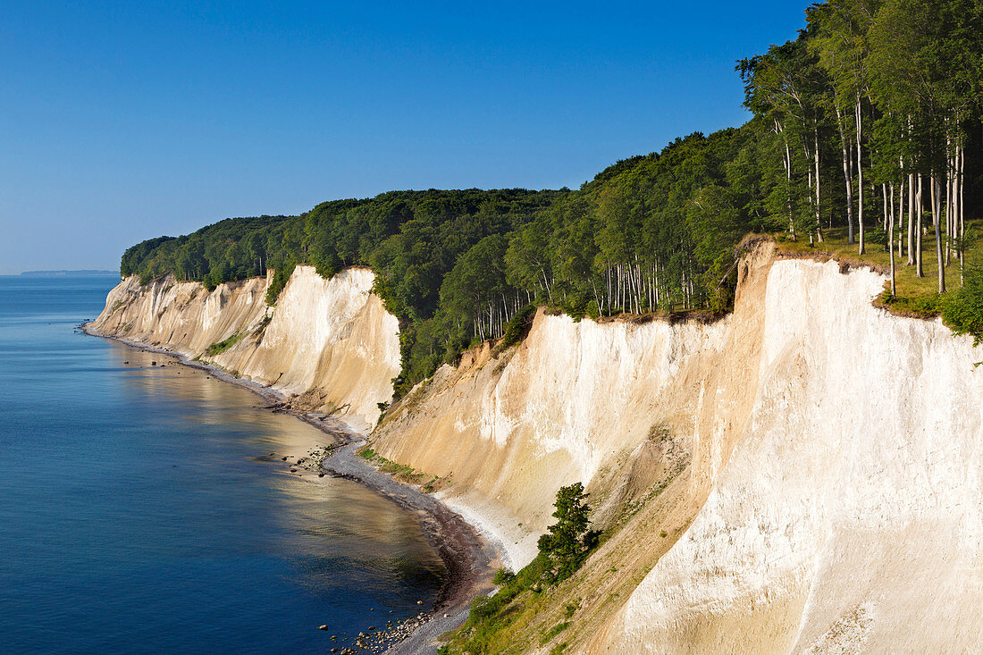 Kreidefelsen, Nationalpark Jasmund, Rügen, Ostsee, Mecklenburg-Vorpommern, Deutschland