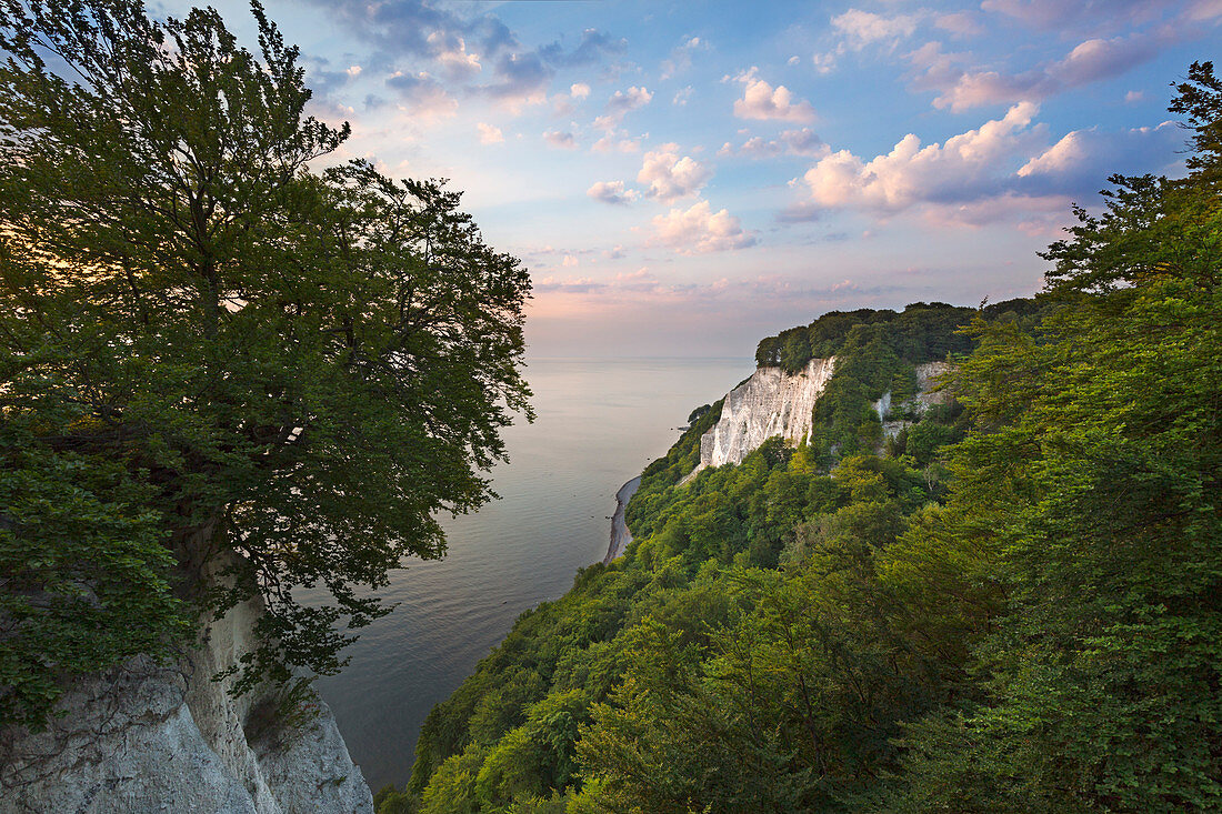 Blick vom Königsstuhl, Nationalpark Jasmund, Rügen, Ostsee, Mecklenburg-Vorpommern, Deutschland