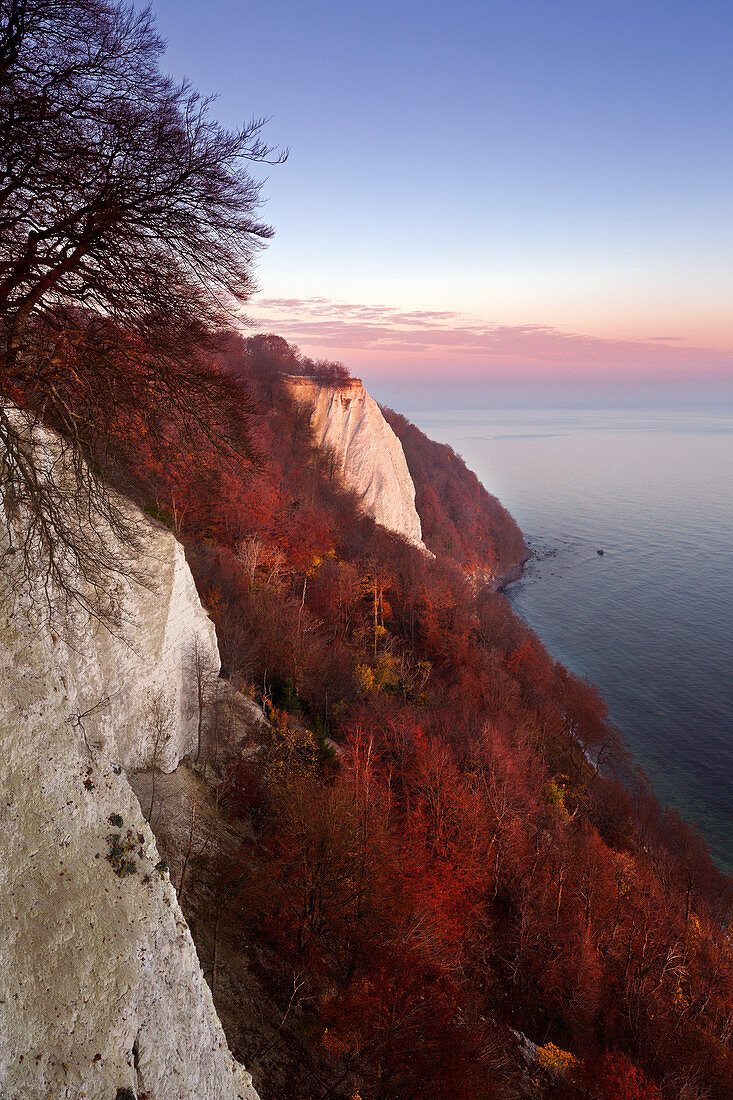 Blick zum Königsstuhl, Nationalpark Jasmund, Rügen, Ostsee, Mecklenburg-Vorpommern, Deutschland