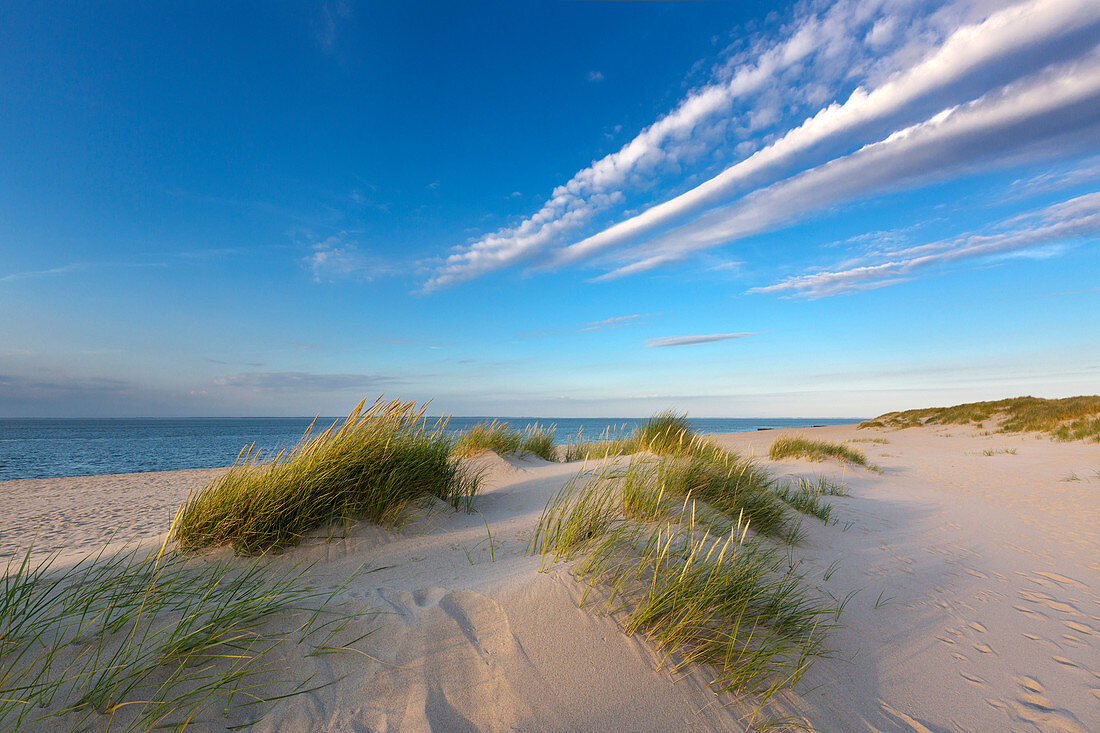 Strand am Ellenbogen, Sylt, Nordsee, Schleswig-Holstein, Deutschland