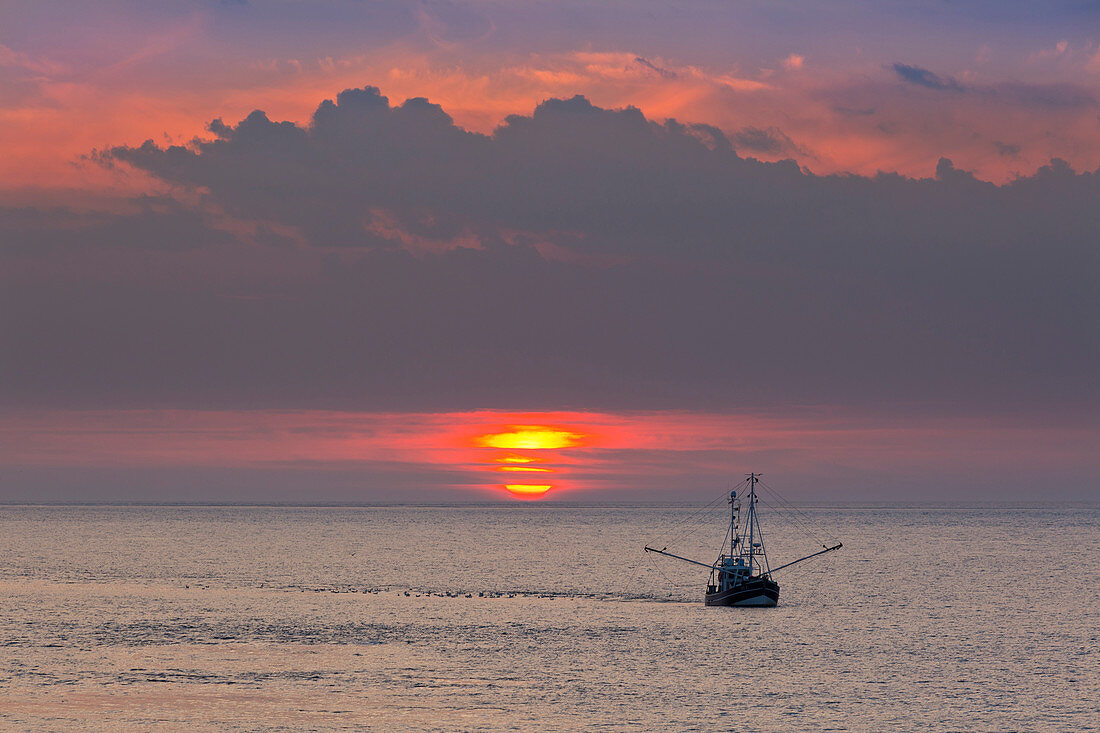 Trawler before the sunset on the sea, Sylt, North Sea, Schleswig-Holstein, Germany