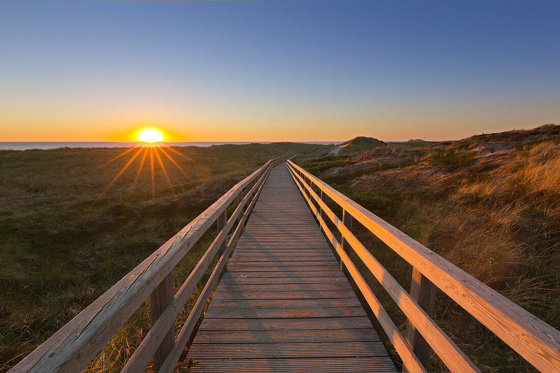 Dune path to the beach, at Kampen, Sylt, North Sea, Schleswig-Holstein, Germany