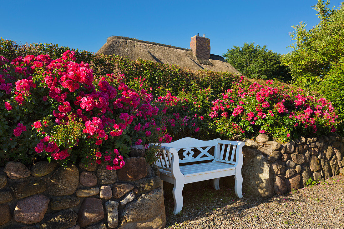 Flower arrangement and bench at the thatched Friesenhaus, Keitum, Sylt, North Sea, Schleswig-Holstein, Germany