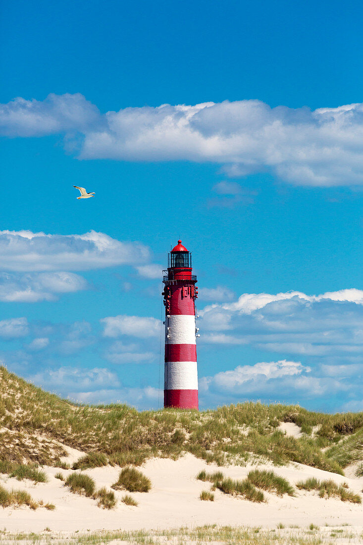 Leuchtturm in den Dünen, Amrum, Nordsee, Schleswig-Holstein, Deutschland