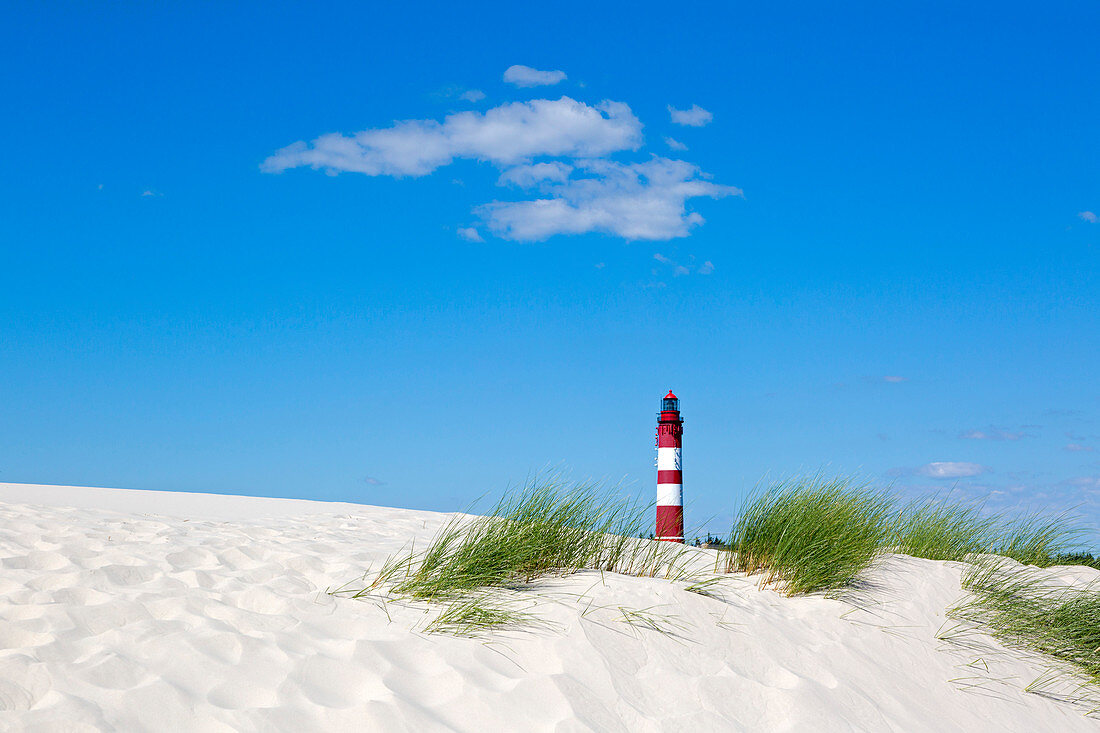 Leuchtturm in den Dünen, Amrum, Nordsee, Schleswig-Holstein, Deutschland