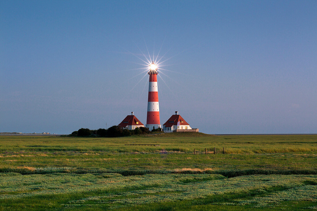 Salzwiesen am Leuchtturm Westerhever, Nordsee, Schleswig-Holstein, Deutschland