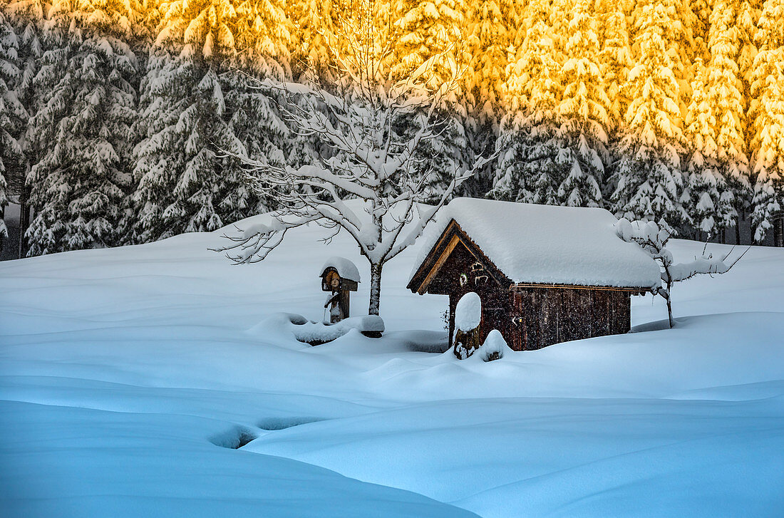Wooden huts in winter landscape at Barmsee in Krün. Krün, Mittenwald, Bavaria, Germany, Europe