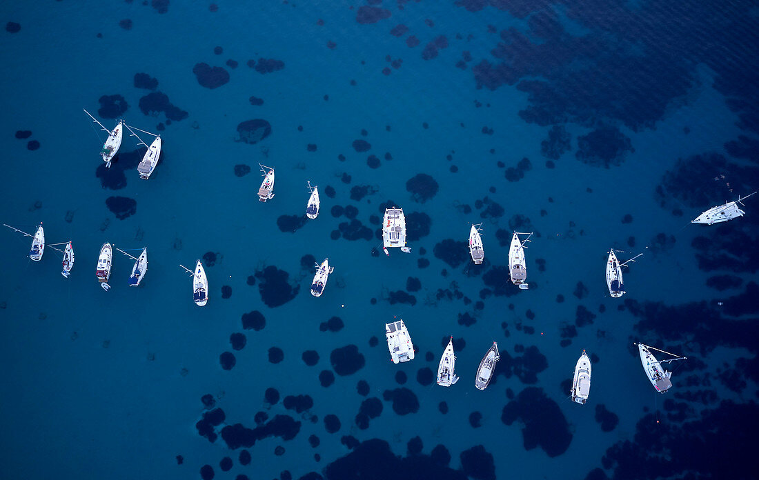 Segelboote in Bojenfeld vor der Insel Susak, Kvarner Bucht, Adria, Kroatien