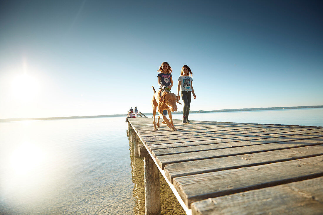 Zwei zehnjährige Mädchen mit Hund auf einem Steg,   Starnberger See, Bayern, Deutschland