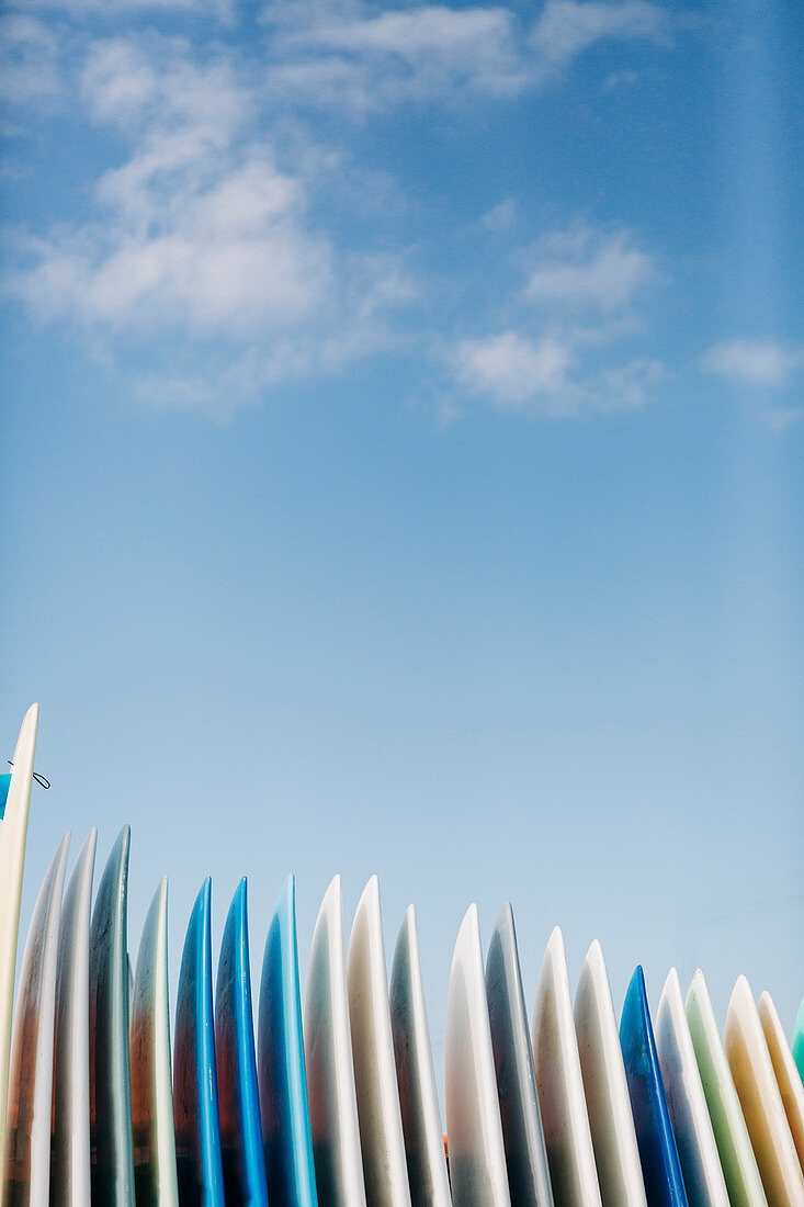Row of surfboards under clouds