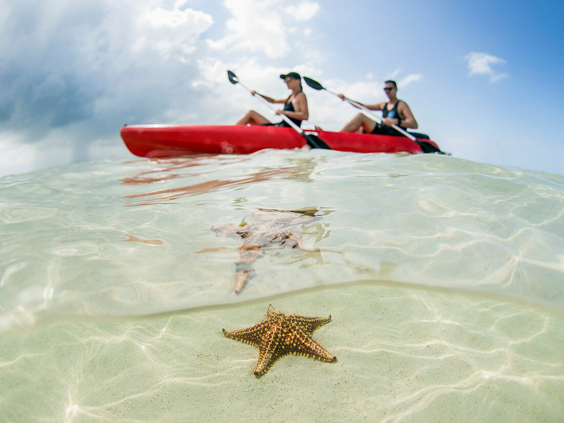 Kyakfahrer auf Ozean am Starfish-Strand, Grand Cayman, Kaimaninseln Kayak