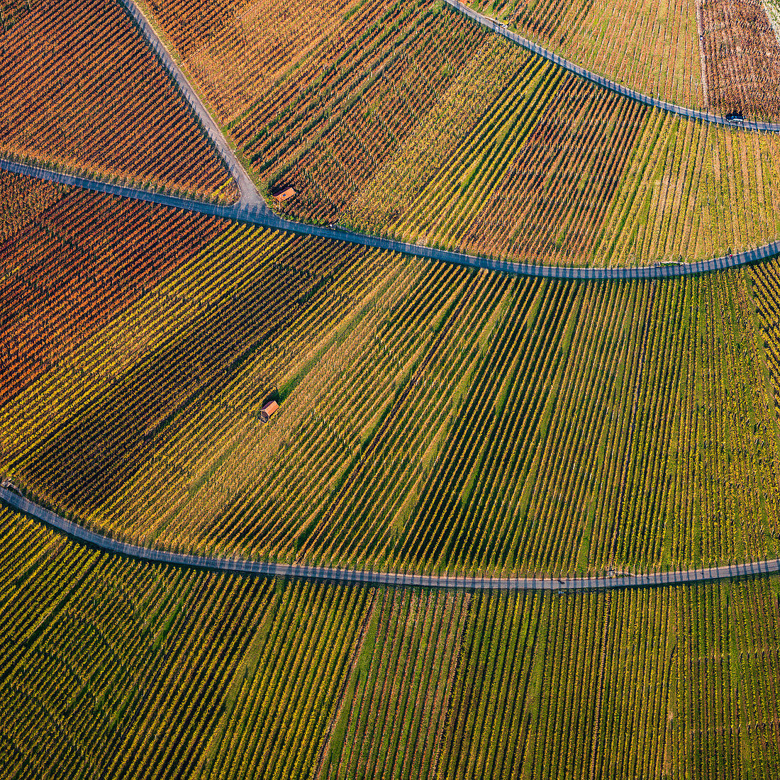 View from above textured green farmland crops