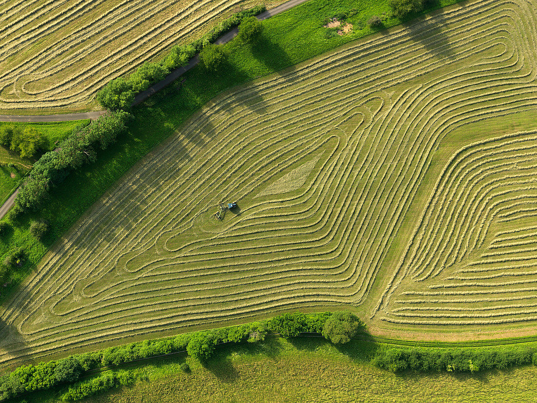 Blick auf Traktor in gemustertem grünem Ackerbau, Hohenheim, Baden-Württemberg, Deutschland