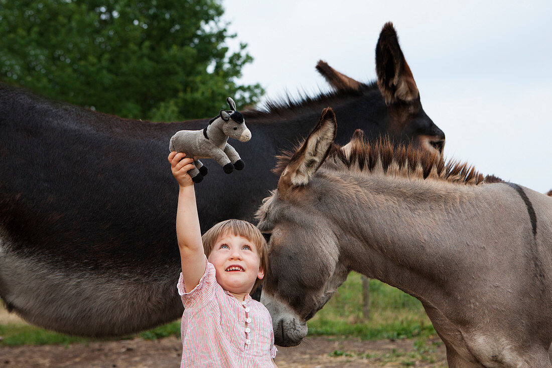 Cute girl with donkeys holding stuffed donkey