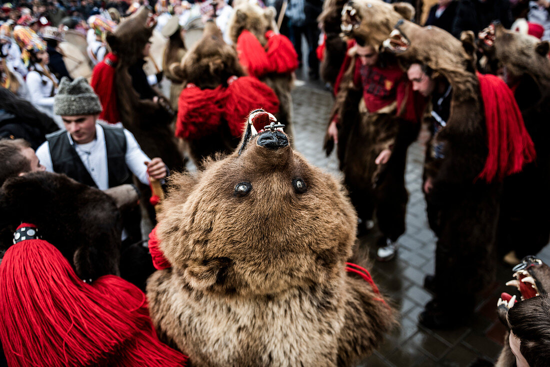 New Year Bear Dancing Festival, Comanesti, Moldova, Romania, Europe