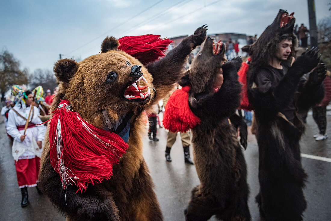 New Year Bear Dancing Festival, Comanesti, Moldova, Romania, Europe