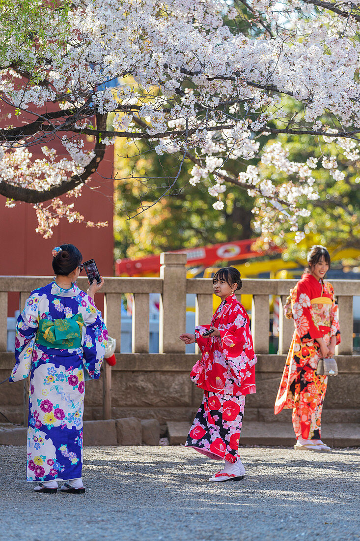 Frauen in Kimonos, Sensoji-Tempel, Asakusa, Tokyo, Japan, Asien