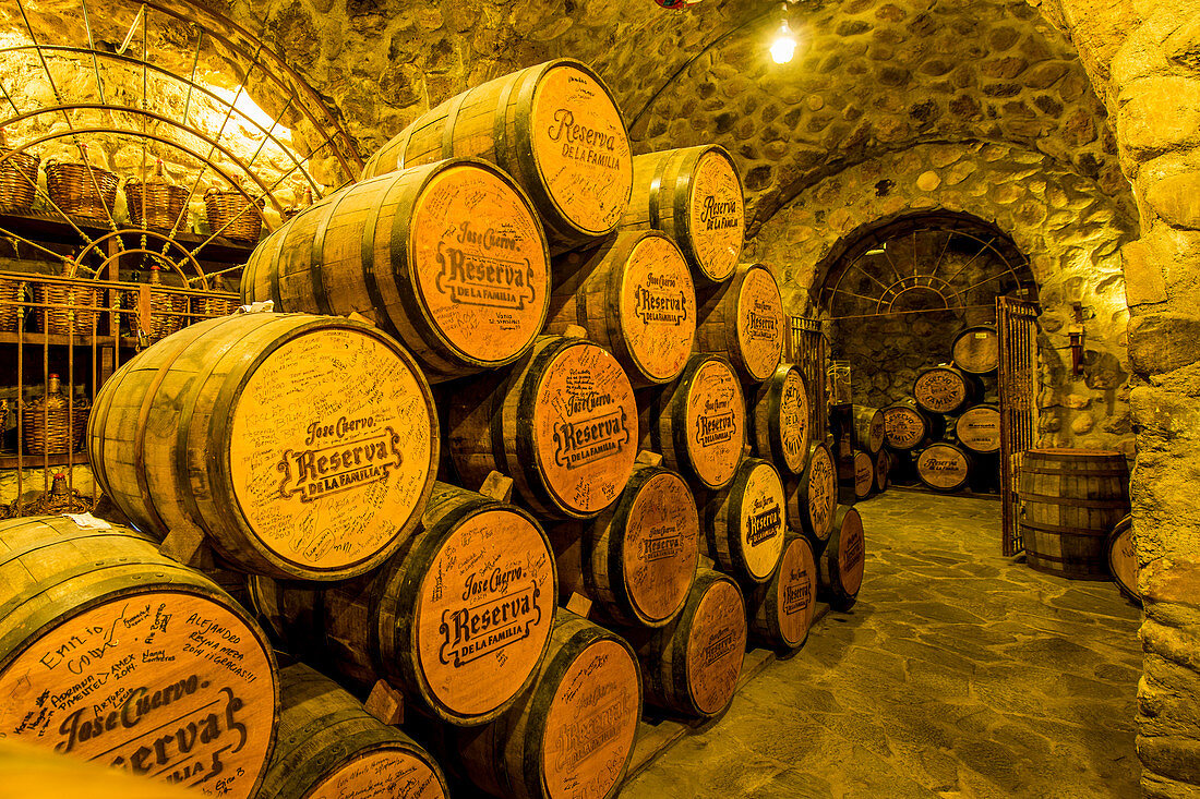 Jose Cuervo Tequila distillery cellar, Tequila, UNESCO World Heritage Site, Jalisco, Mexico, North America