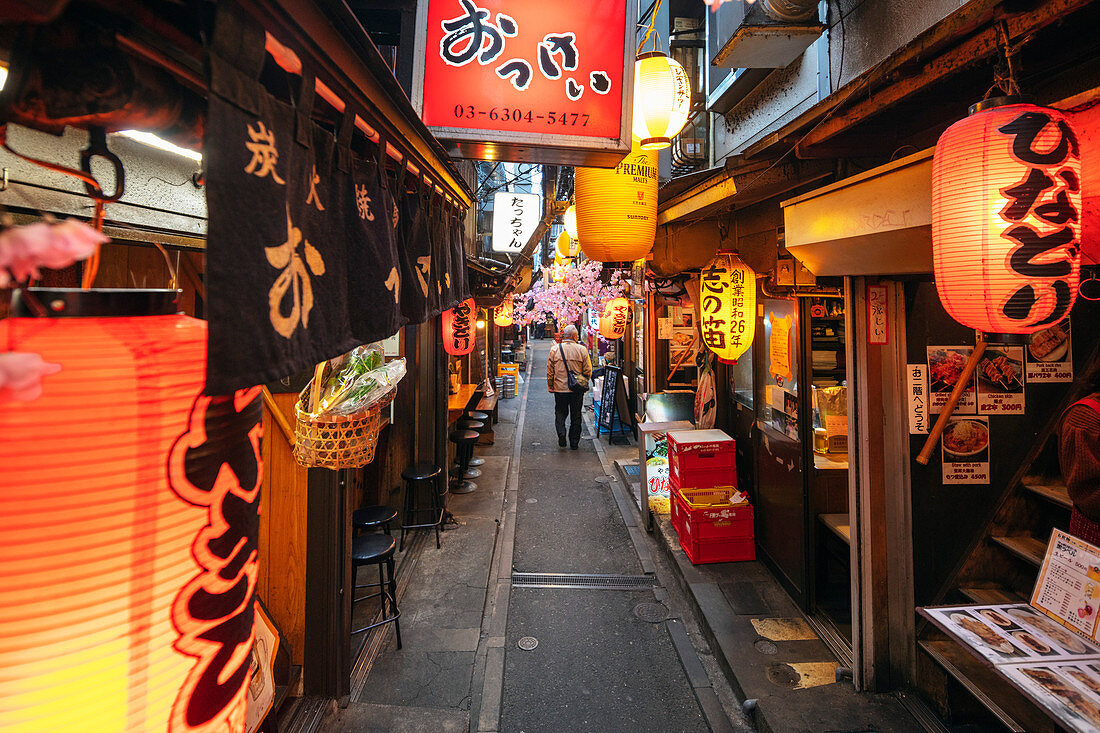 Yokocho Lebensmittelgasse, Shinjuku, Tokyo, Japan, Asien