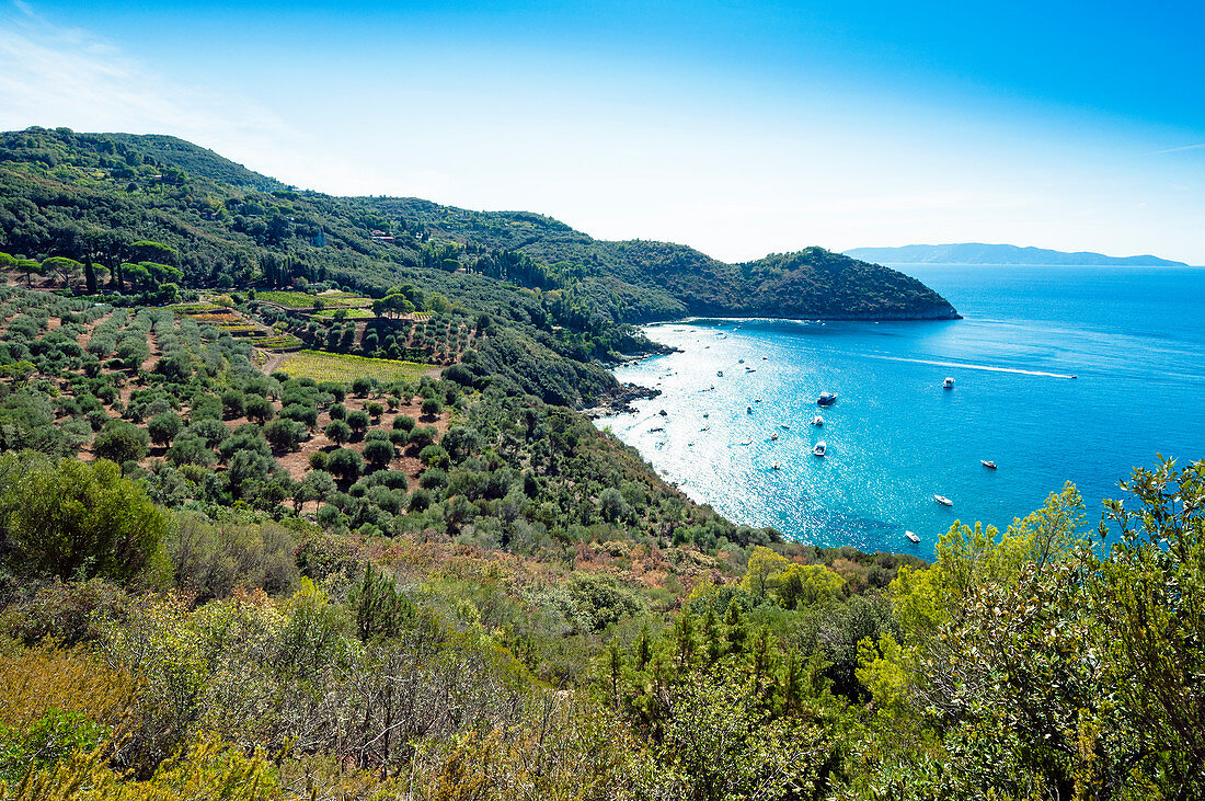 Monte Argentario, Provinz Grosseto, Maremma, Toskana, Italien, Europa