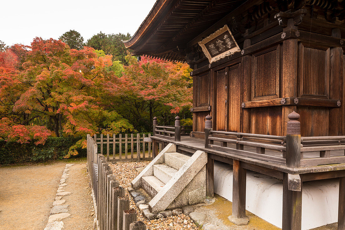 Herbstfarbe in Jojakko-jitempel in Arashiyama, Kyoto, Japan, Asien