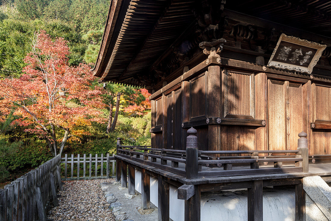 Herbstfarbe in Jojakko-ji Tempel in Arashiyama, Kyoto, Japan, Asien