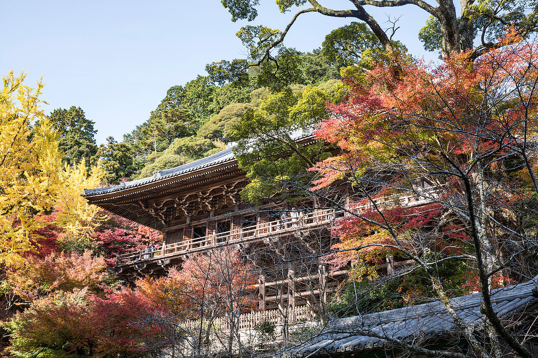 Shoshazan Engyo-ji Tempel auf Berg Shosha, Himeji, Kansai, Japan, Asien