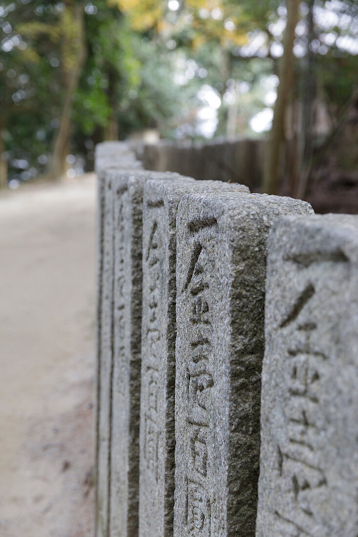 Shoshazan Engyo-ji temple on Mount Shosha, Himeji, Kansai, Japan, Asia