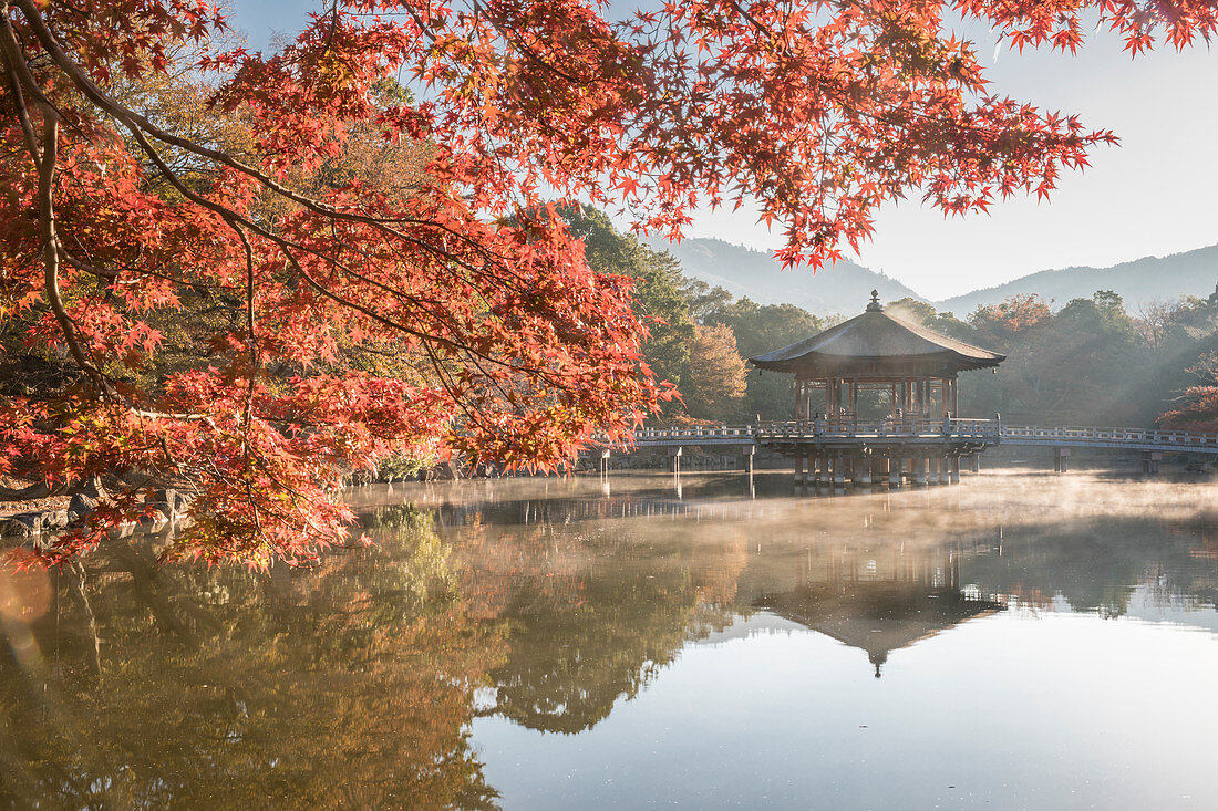 Herbstfarbe um Ukimido-Pavillon auf dem Sagiike-Teich, Nara Park, Nara, Japan, Asien