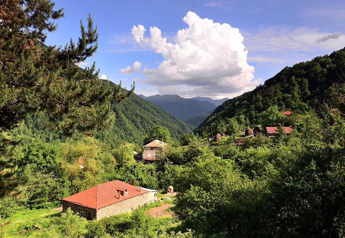 Bauernhäuser im bewaldeten Tal des Flusses Aragwi bei Barisakho, Chewsuretien, Großer Kaukasus, Georgien