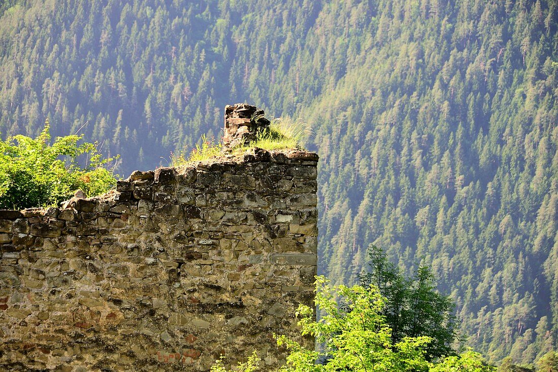 Mauerreste der Burgruine Borjomi, Borjomi Nationalpark, Kleiner Kaukasus, Georgien