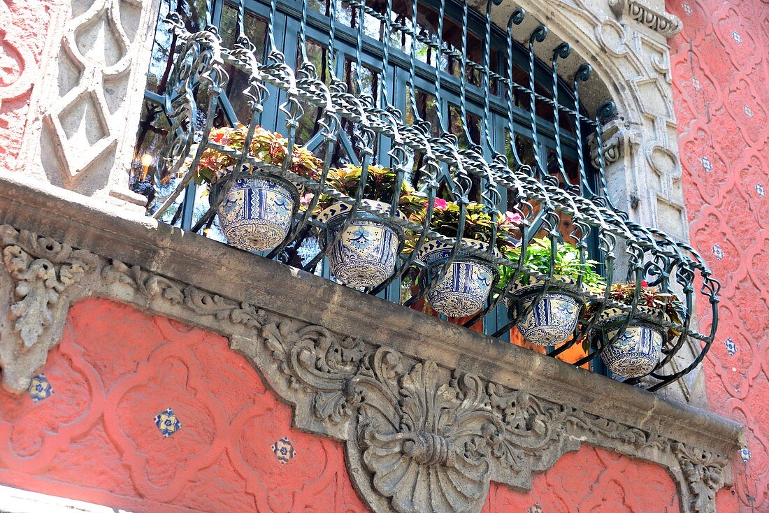 Fenster mit Gitter im Kolonialstil, davor Blumenschmuck, Mexico City, Mexiko