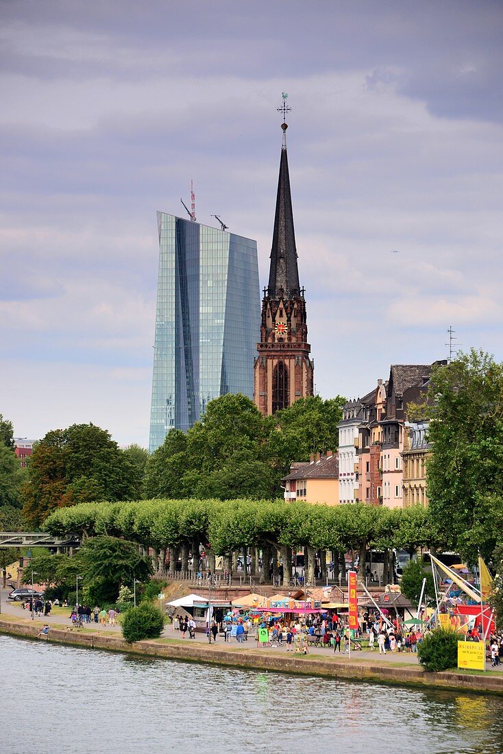 View over the river Main to the skyscraper of the European Central Bank and Sachsenhausen, Frankfurt am Main, Hesse, Germany