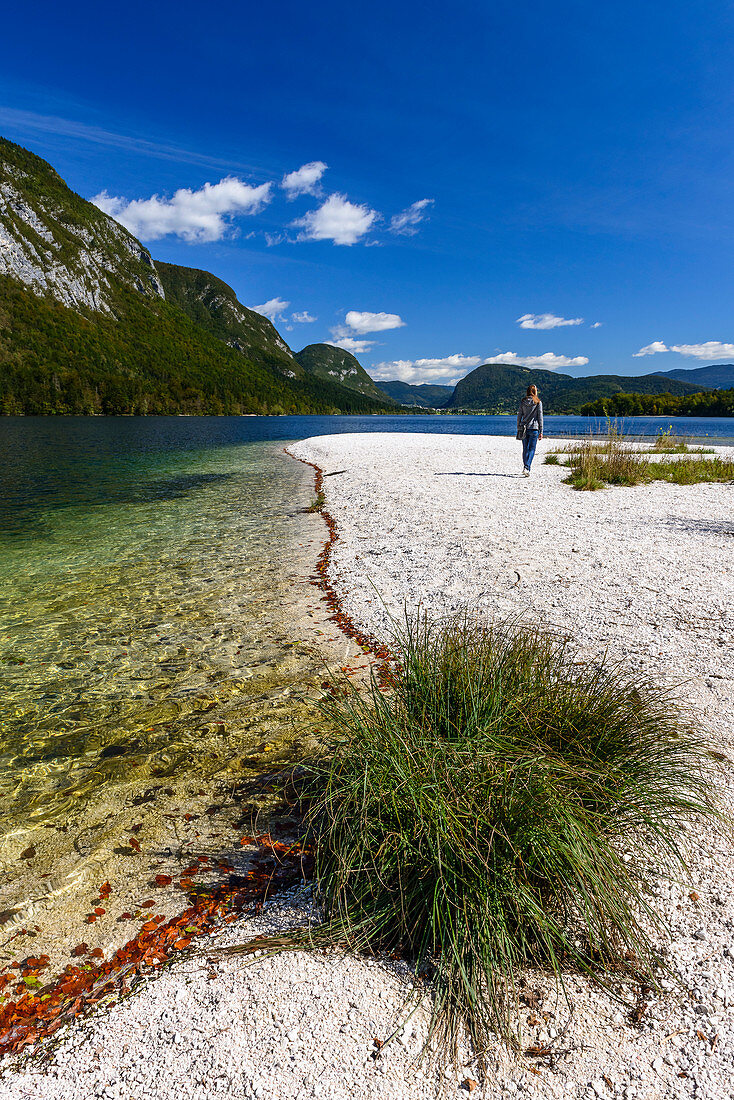 Sandbank am Bohinje See, Triglav Nationalpark, Slowenien