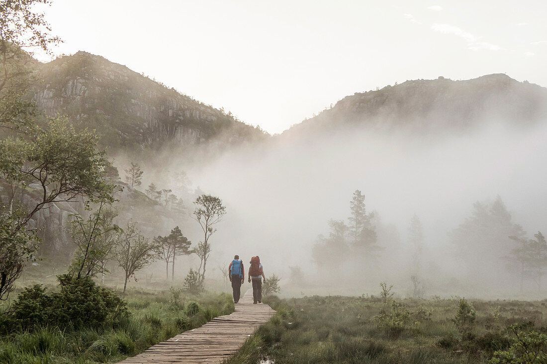 Wooden footbridge leads hikers with backpack over the moor through a small forest that is still foggy in the morning. Lysefjord. Pulpit Rock. Norway
