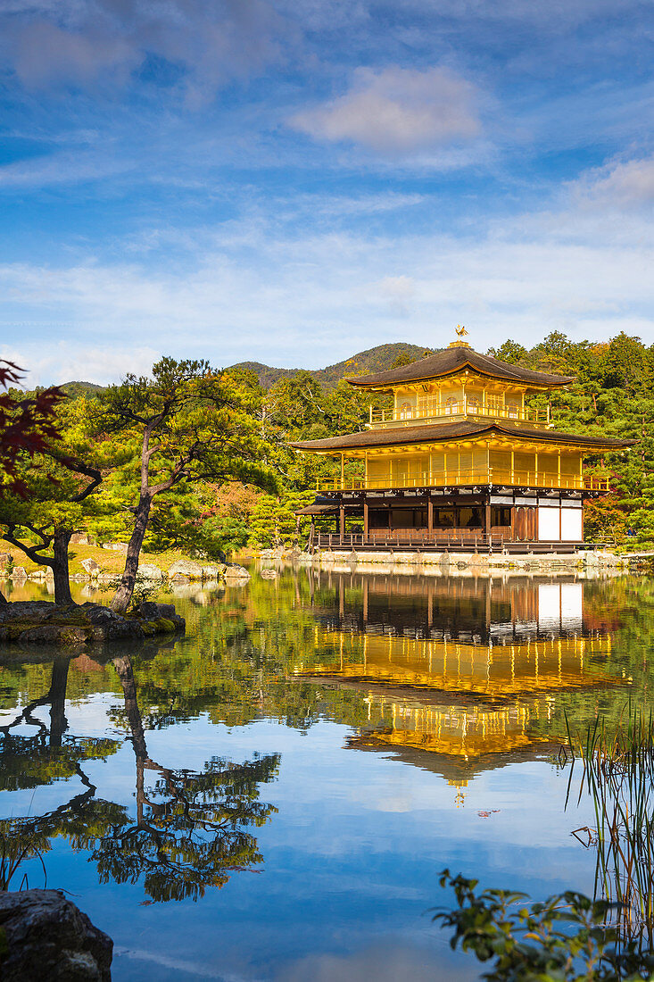 Kinkaku (der goldene Pavillon), UNESCO-Welterbestätte, Kyoto, Japan, Asien