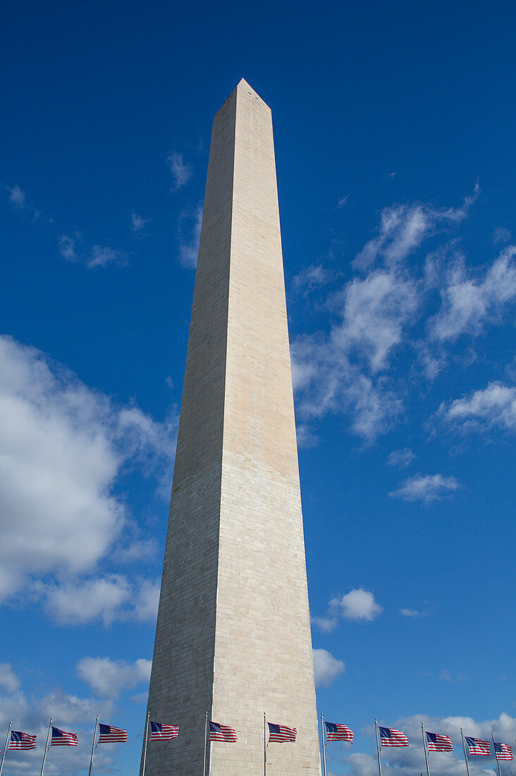 Washington Monument with American flags below, Washington D.C., United States of America, North America