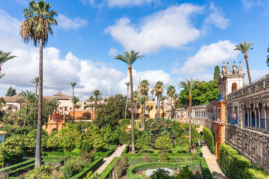 Spain, Andalusia, Seville. El Real Alcazar de Sevilla, gardens
