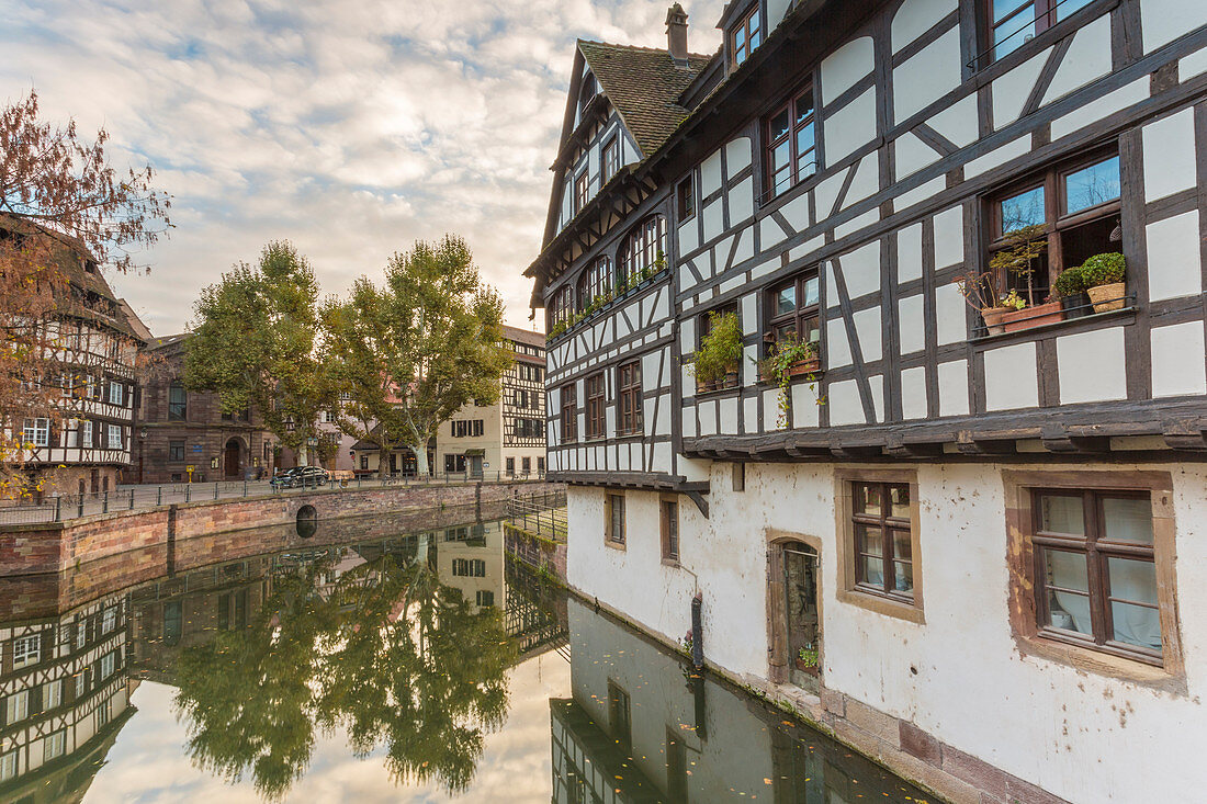 Half timbered houses on the canal of Petit France, Strasbourg district, Alsace, Grand Est region, Bas-Rhin, France