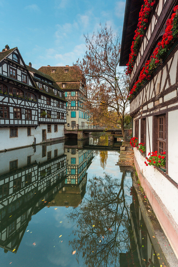 Half-timbered houses and canal in Petite France, Strasbourg district, Alsace, Grand Est region, Bas-Rhin, France