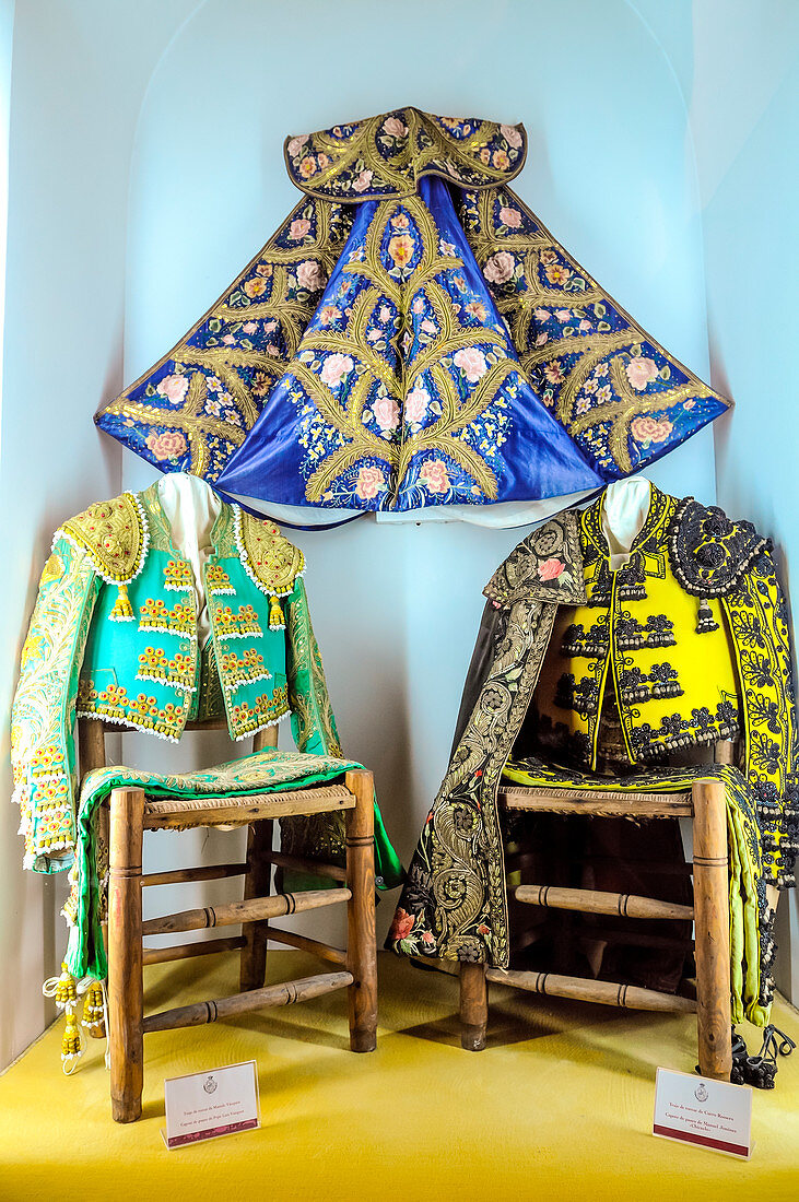 The Bullfighting Museum, in the La Maestranza bullring, Plaza de toros de Seville, Andalusia, Spain, Europe