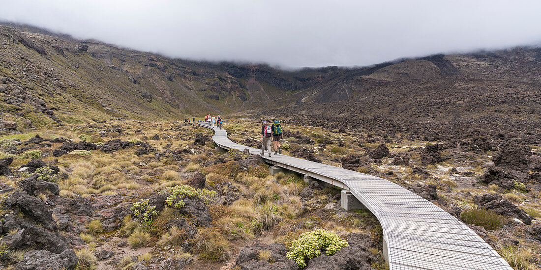 Hikers walking on the footpath of Tongariro Alpine Crossing on cloudy day. Tongariro NP, North Island, New Zealand.