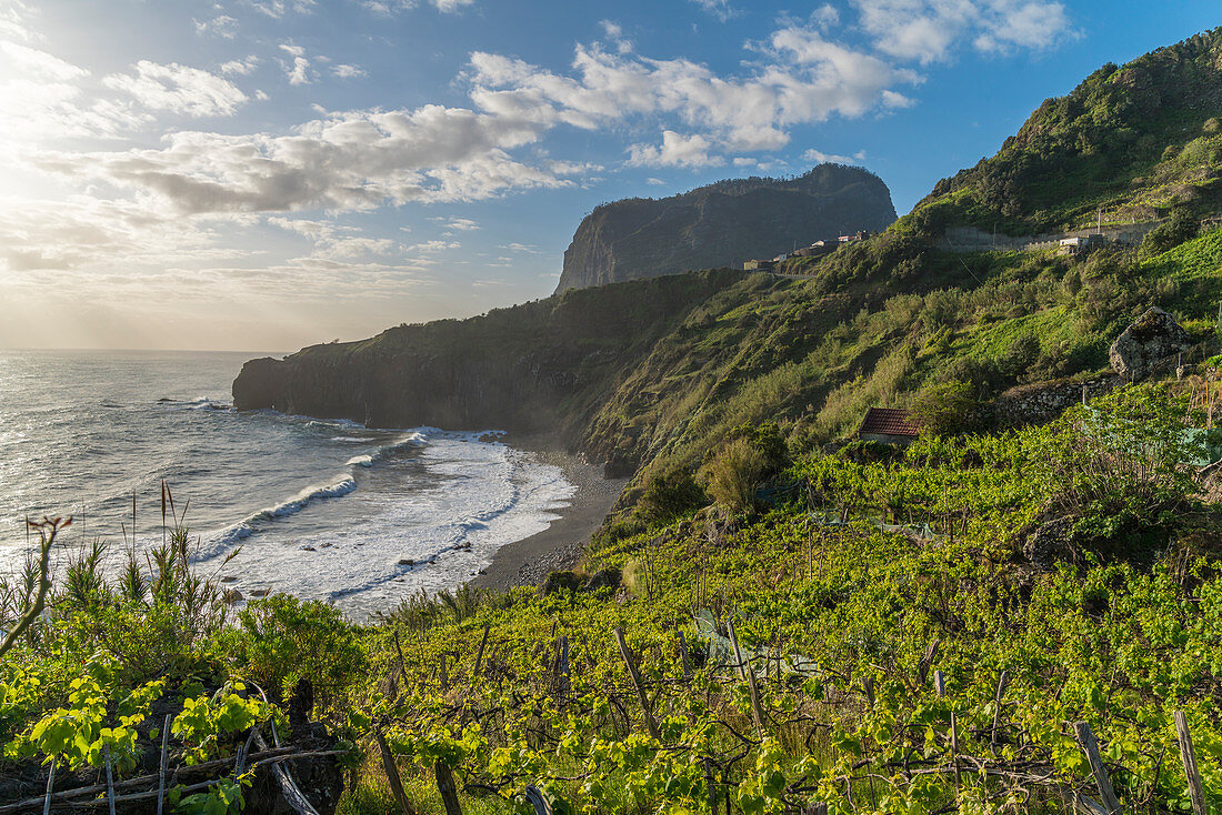 Vineyard and fruit plantations with Crane viewpoint in the background. Faial, Santana municipality, Madeira region, Portugal.