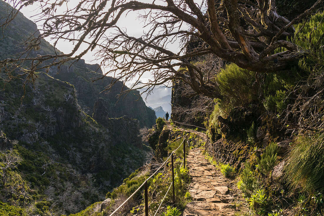 Woman hiking on the trail from Pico Ruivo to Pico do Areeiro. Achada do Teixeira, Santana municipality, Madeira region, Portugal.