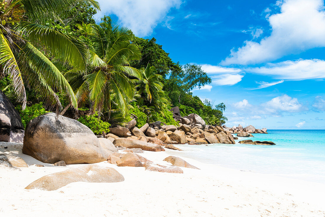 Anse Georgette, Praslin island, Seychelles, Africa