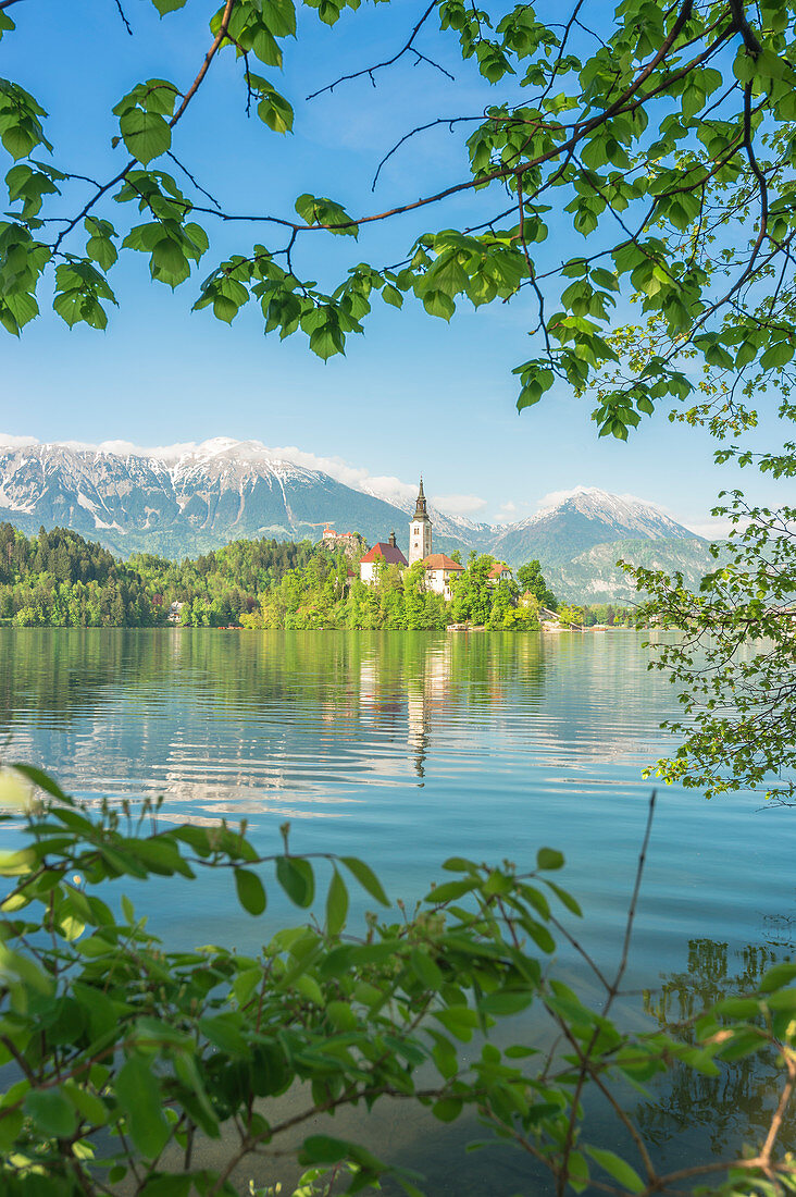 Bled Island and Lake Bled. Bled, Upper Carniolan region, Slovenia.