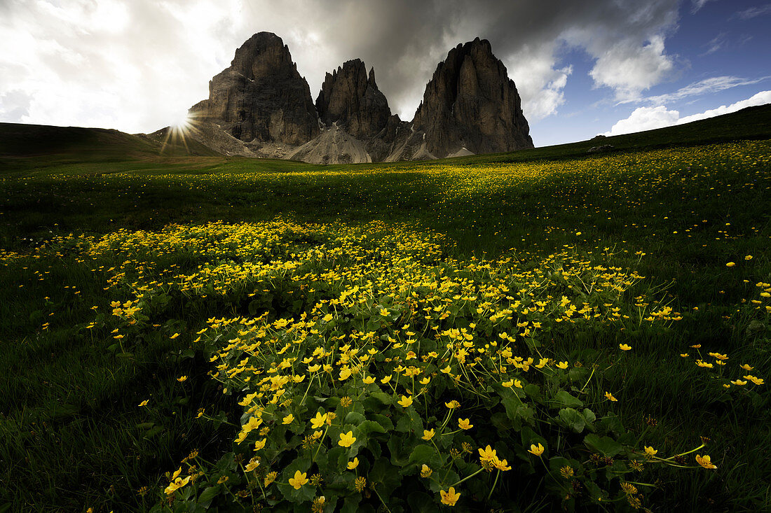 Europe,Italy, Trentino-Alto Adige,Fassa Valley,Sassolungo, Sellapass.