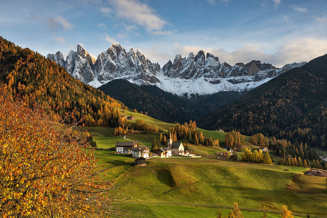 red cherry tree and St. Magdalena village in Funes Valley, Bolzano province, Trentino Alto Adige district, Dolomites, South Tyrol, Italy, Europe.