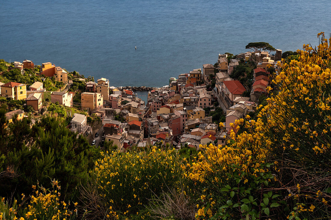 Spring day at Riomaggiore, Cinque Terre, municipality of Riomaggiore, La Spezia province, Liguria, Italy, Europe